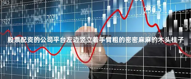 股票配资的公司平台左边竖立着手臂粗的密密麻麻的木头柱子