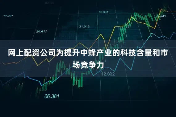 网上配资公司为提升中蜂产业的科技含量和市场竞争力