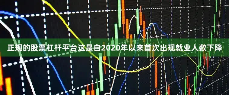 正规的股票杠杆平台这是自2020年以来首次出现就业人数下降